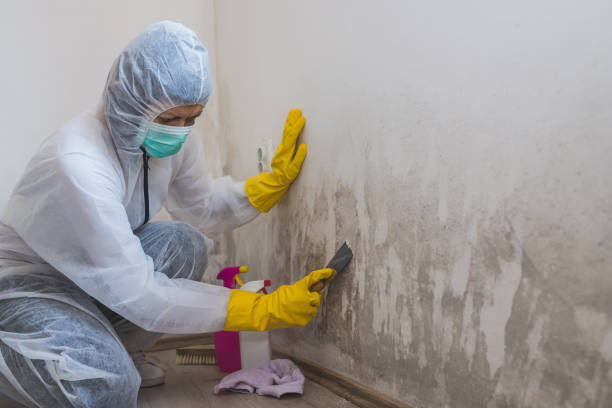 Best Crawl Space Mold Remediation  in Scottsdale, AZ